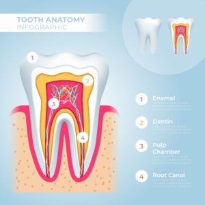 dientes-blog-clinica-soria